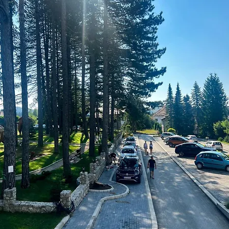 Titova Zlatibor Nika * Palisat