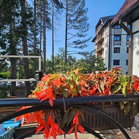 Titova Zlatibor Nika *