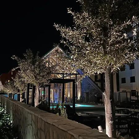 Titova Zlatibor Nika *