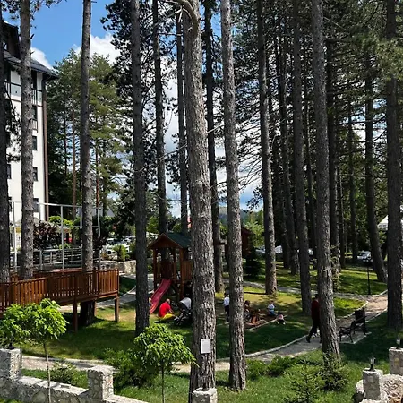 Titova Zlatibor Nika *