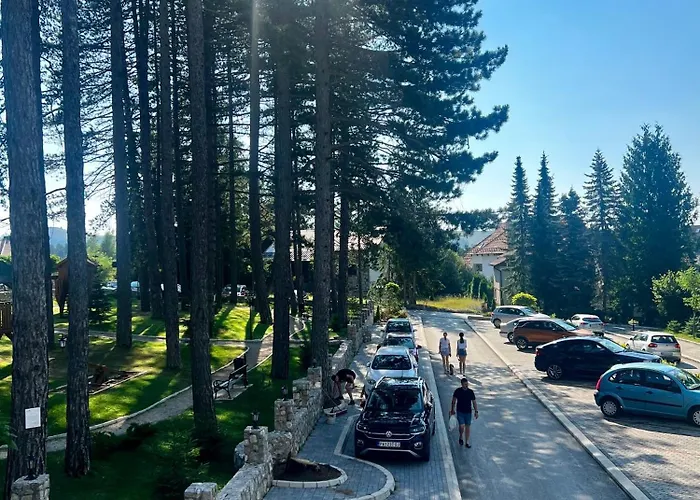 Titova Zlatibor Nika * Palisat